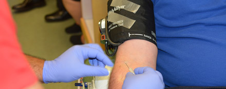 在线网页使用电话轰炸机